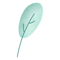 une vert feuille sur une transparent Contexte png