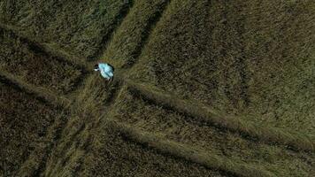 an aerial view of a woman in a field video