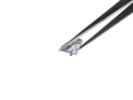 Shiny brilliant diamond placed in diamond tweezers, transparent background png