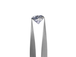 Shiny brilliant diamond placed in diamond tweezers, transparent background png