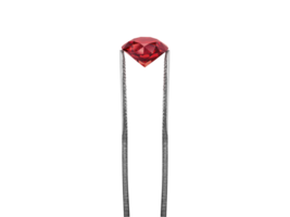 Dazzling diamond red held in diamond tweezers transparent background png