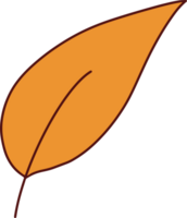 Autumn Hand Drawing with Orange Leaf png