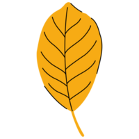 Autumn leaves flat design png