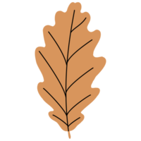 Herbst Blätter eben Design png