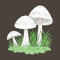 mushroom t shirt design vector graphic