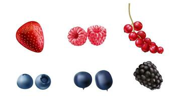 Vector illustration set of fresh, 3d realistic berries blueberry, currant, raspberry, blackberry, strawberry, and redcurrant. Ideal for food, health, and nature designs