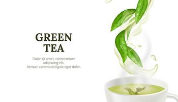 vector ilustración de un caliente taza de verde té con un Fresco hoja. sano y aromático bebida concepto con natural y orgánico elementos en un blanco antecedentes. líquido salpicaduras agua fluir.