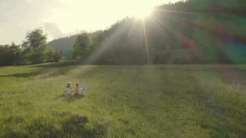 une fille et une garçon en portant une maison coupé séance dans le herbe sur une colline video