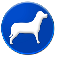 Dog symbol icon isolated over transparent background png