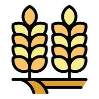 Wheat plant icon vector flat