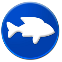 Fisch Symbol Symbol isoliert Über transparent Hintergrund png