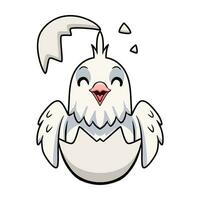 Cute albino cockatiel bird cartoon inside from egg vector