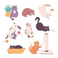 Cute cat characters collection. Cats doing various feline activities, playing, sleeping, lying, sitting. vector