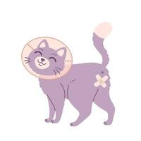 Cat in veterinary collar. Animal spay or neuter. Sterilization of pets. World spay day. vector