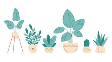 hogar en conserva plantas. plantas de interior hogar interior. vector