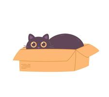 Cute black cat in box. Domestic pets, feline activities. International Cat Day. vector