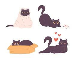 Black cat characters playing, sleeping, sitting in box, falling in love. Domestic cat, feline activities. vector