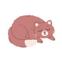 Cute cat sleeping. Home cat life, feline activities. vector