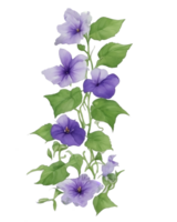 Purple or violet Morning glory flower clip art or sticker png