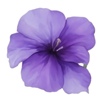 púrpura o Violeta Mañana gloria flor acortar Arte o pegatina png