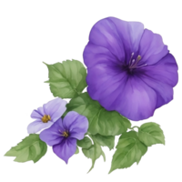 lila oder violett Morgen Ruhm Blume Clip Kunst oder Aufkleber png