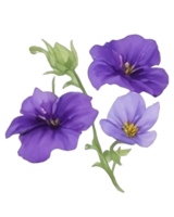 púrpura o Violeta Mañana gloria flor acortar Arte o pegatina png