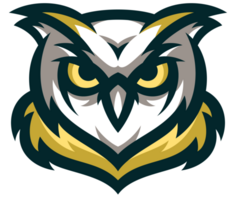 Colorful Angry Owl Animal Beast Head Sport Logo png