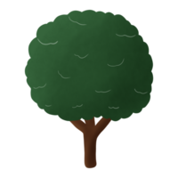 großer Baum im Wald png