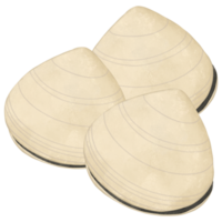 Clam in the sea png