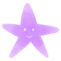 étoile de mer dans la mer png