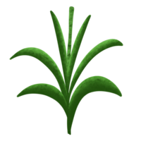 Cute green cane png