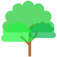 árbol elemento svg png