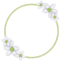 cadre de fleurs blanches png