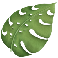 Leaf element icon png