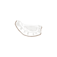 Coconut meat PNG for decoration