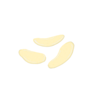 Patate puce dessin pour décor png