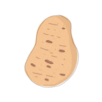 Potato drawing for decor png