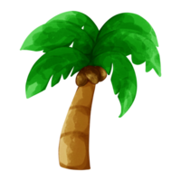 Cute a little coconut tree png