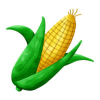 Cute and delicious fresh corn png