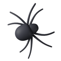 3D realistic spider isolated on transparent background. halloween spider png