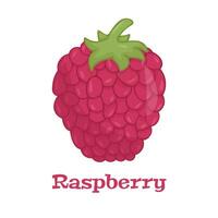 Raspberry with leaf vector icon. Raspberry icon clipart. Raspberry cartoon