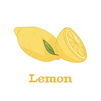 Lemon fruit isolated on a white background vector illiustation