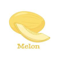 Honeydew melon. Whole fresh ripe sweet fruit with sliced juicy piece of cut. Melon isolated on white background with title. vector