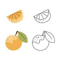 A small set with an orange and a piece of orange. Black and white and color clipart vector illustration.