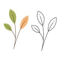 A small set with an abstract autumn branch with leaves. Black and white and color clipart vector illustration.