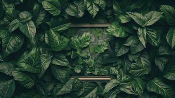 Generative AI, creative layout with green leaves and square frame, flat lay. Nature background with copy space photo
