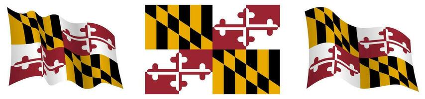 flag of american state of Maryland in static position and in motion, fluttering in wind in exact colors and sizes, on white background vector