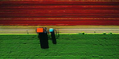 Generative AI, Farm colorful landscape, agricultural fields, beautiful countryside, country road. Nature Illustration, top view drone, horizontal banner. photo