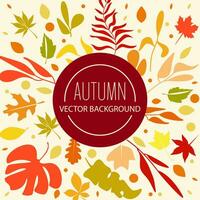 Autumn leaf foliage vector sale background banner.