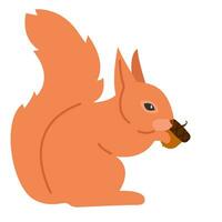 Illustration of cute squirrel eats nut on autumn background. vector